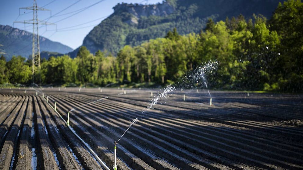 Grundwasser-Pegel sinken einer neuen Studie zufolge weltweit immer schneller. Insbesondere in Regionen mit intensiver Landwirtschaft. (Archivbild)