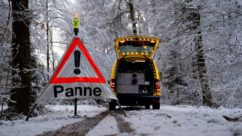 Sono ogni giorno numerosissimi gli interventi dei pattugliatori TCS.