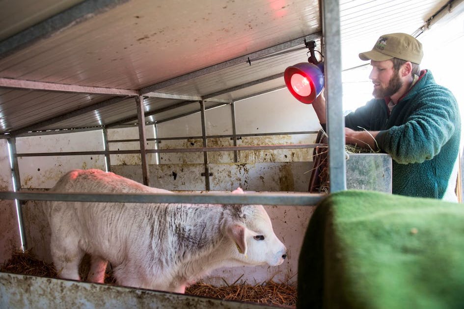 Weniger Geld für Landwirte stösst parteiübergreifend auf Kritik | blue News Weniger Geld für Landwirte stösst parteiübergreifend auf Kritik | blue News