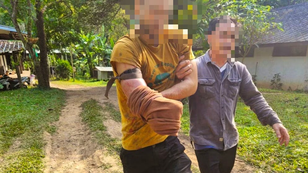 Unfall in thailändischem Tierpark. Bär beisst Schweizer Tierpfleger – der schneidet sich den Arm ab