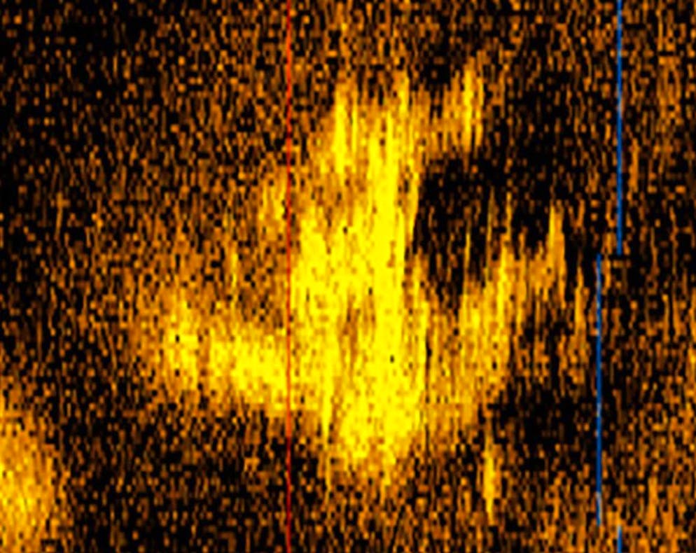 Questa immagine sonar dovrebbe mostrare l'aereo scomparso.