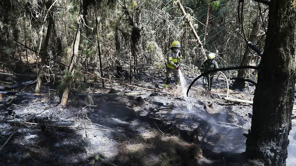 Pompieri impegnati a spegnere un incendio bschivo nel comune di Nemocon, a nord di Bogotà, in Colombia (foto d'archivio)