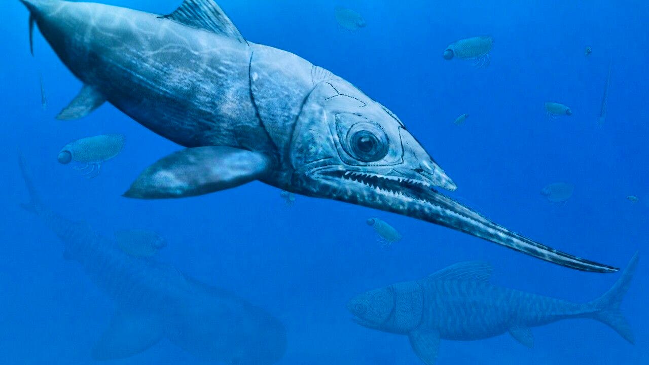 Evolution. Zürcher Forscher beschreiben Fisch mit riesigem Unterkiefer