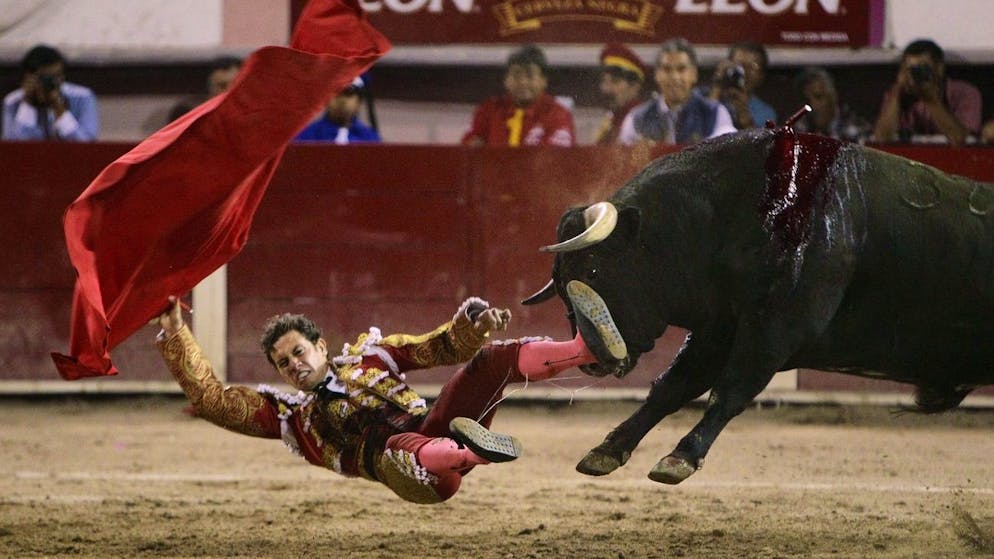 Mexique. La corrida à nouveau suspendue dans la capitale