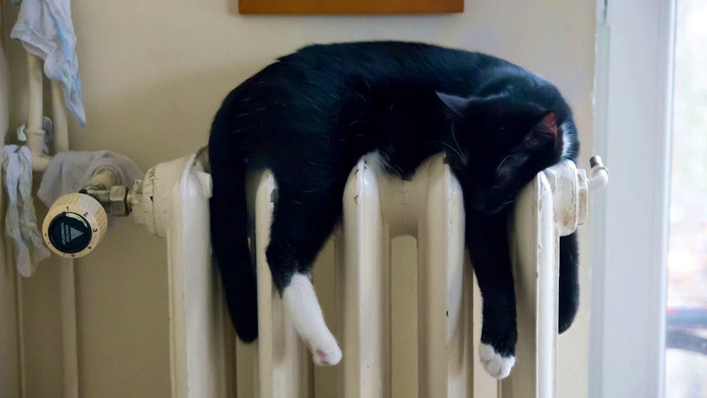 Riscaldare rispettando l’ambiente. Teleriscaldamento: buono a sapersi!