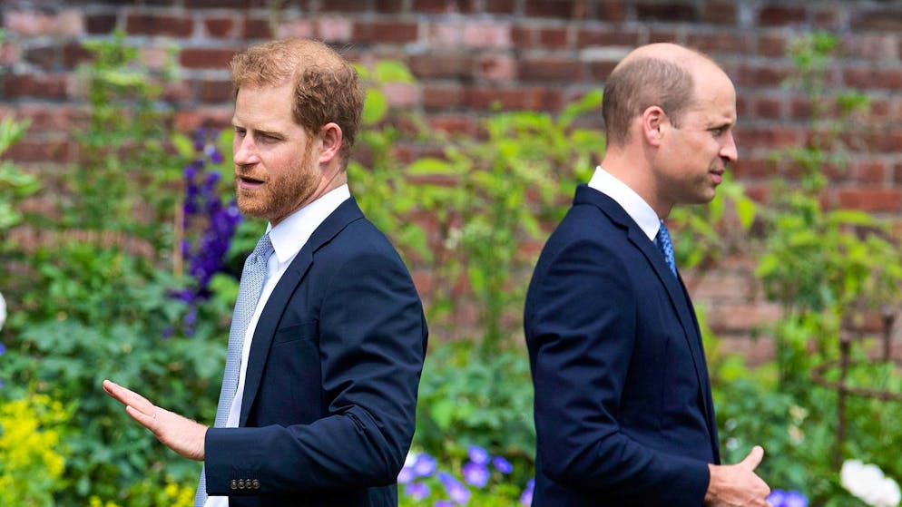 Kommentare zu Kate gingen zu weit. William hat Harry «aus dem Gedächtnis gelöscht»