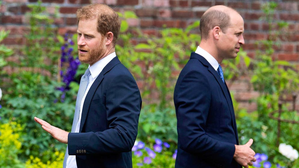 Streit zwischen William und Harry. «Für manche Dinge gibt es keine gemeinsame Lösung»