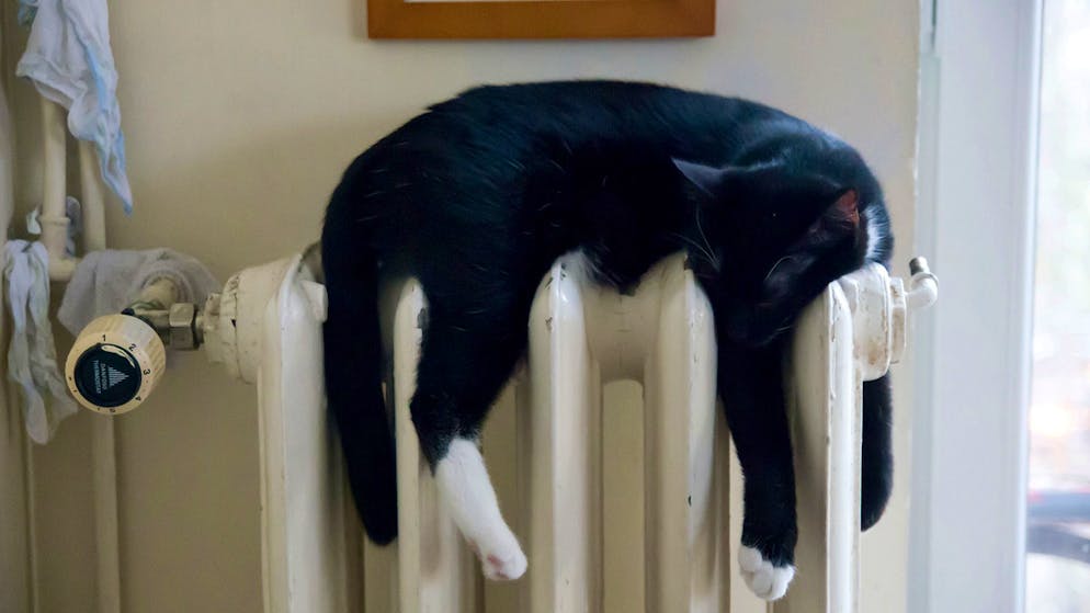 Chauffer en respectant l’environnement. Tout savoir sur le chauffage à distance