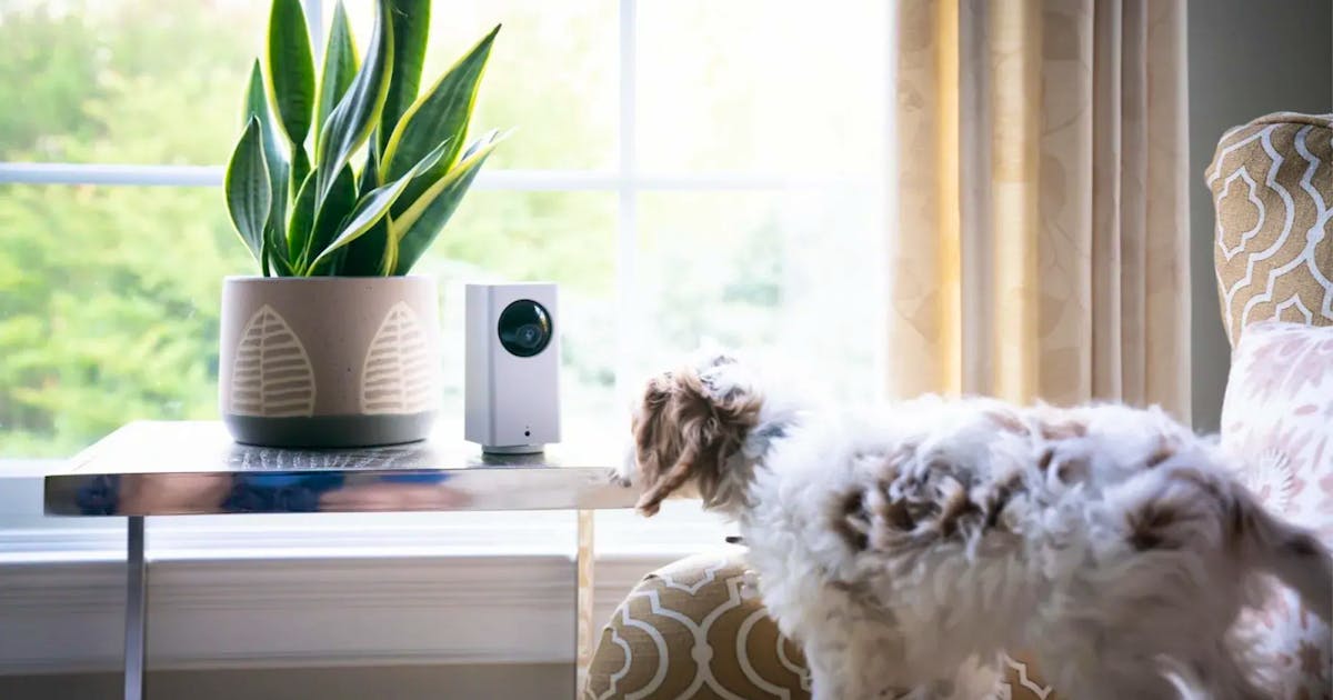 Camera provider needs clarification: a software glitch allowed viewing of other people's bedrooms Camera provider needs clarification: a software glitch allowed viewing of other people's bedrooms