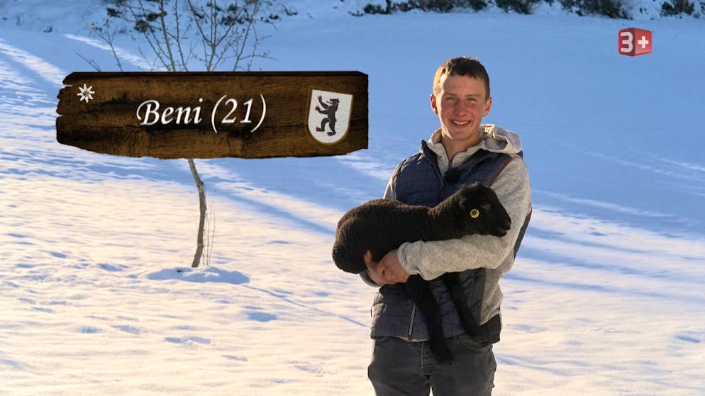 Die neue Single-Kandidat*innen von «Bauer, ledig, sucht». Beni (21) aus Appenzell Innerrhoden: Beni ist aus Leidenschaft Landwirt geworden, weshalb er seit kurzem den Hof der Eltern übernommen hat. Er kümmert sich mit viel Herz um die Kühe, Geissen und Schafe.
