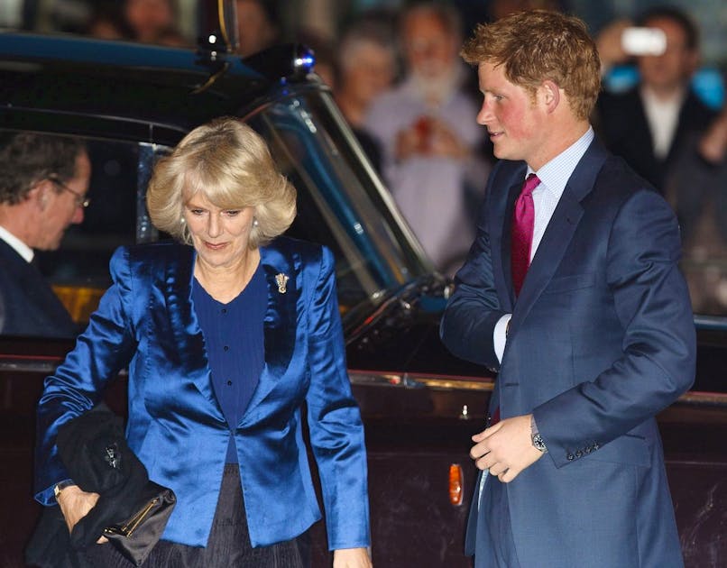 The Tense Relationship Between Queen Camilla and Prince Harry: Insights into Their Strained Dynamic