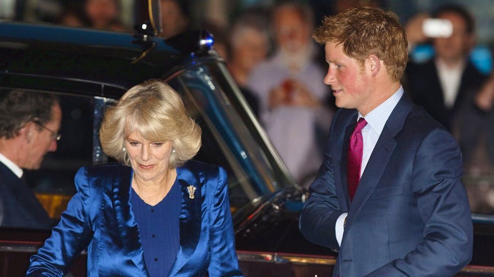 Royal Family. Camilla è «indignata» per l'incontro di Harry con re Carlo, ecco perché