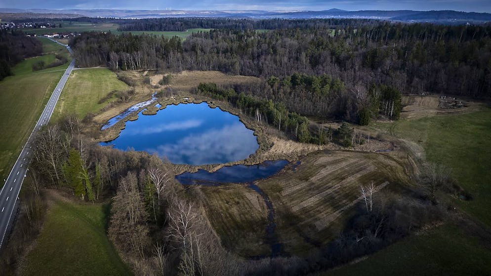 Cold case in Thurgau. Man shot and dumped in lake - perpetrator on trial