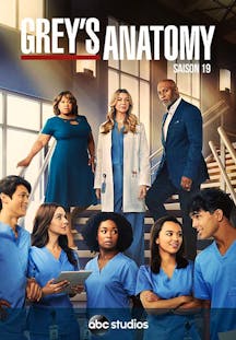 Grey's Anatomy Saison 19 Artwork
