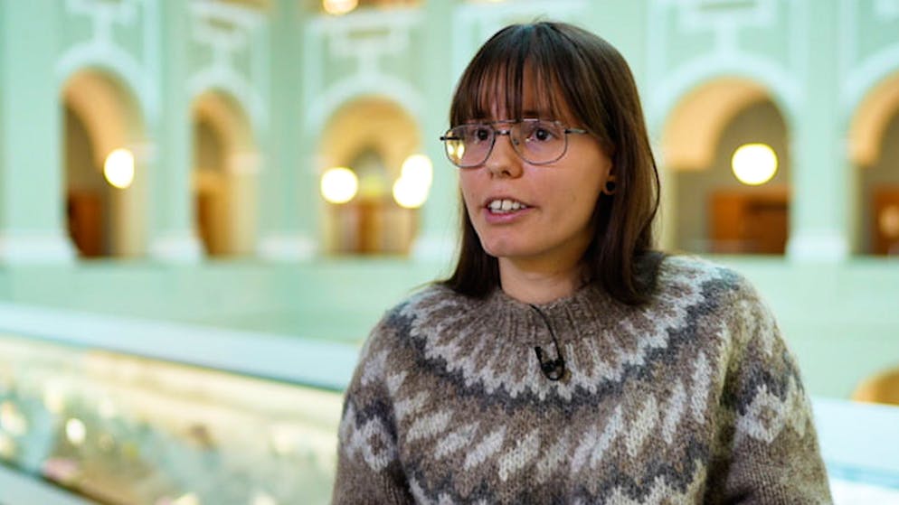 Erdbeben und Vulkanausbrüche. «Wir müssen in der Schweiz keine Angst haben»