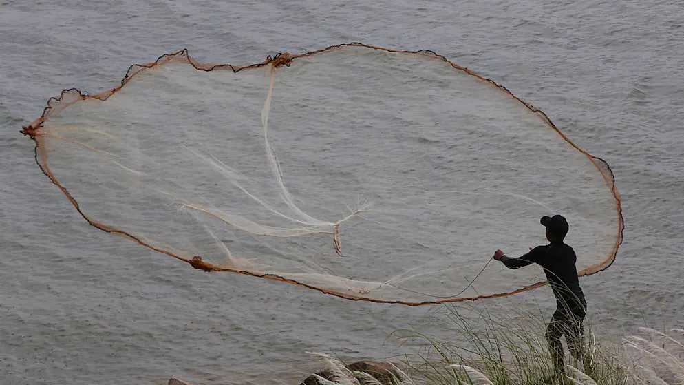 Quelque 74 espèces de poissons du Mékong sont menacées d'extinction selon l'Union internationale pour la conservation de la nature (UICN), dont 18 qui sont considérées comme en danger critique. Mais le chiffre réel pourrait être bien supérieur, d'après les auteurs.
