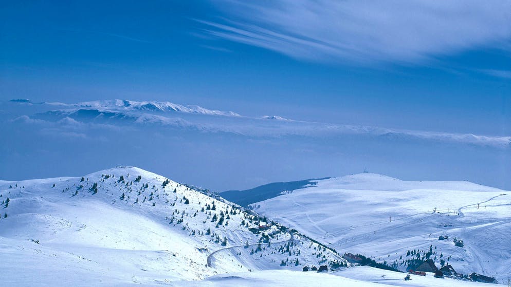 Däne im Spital. Skifahrer in Nordmazedonien von Bär angegriffen und verletzt
