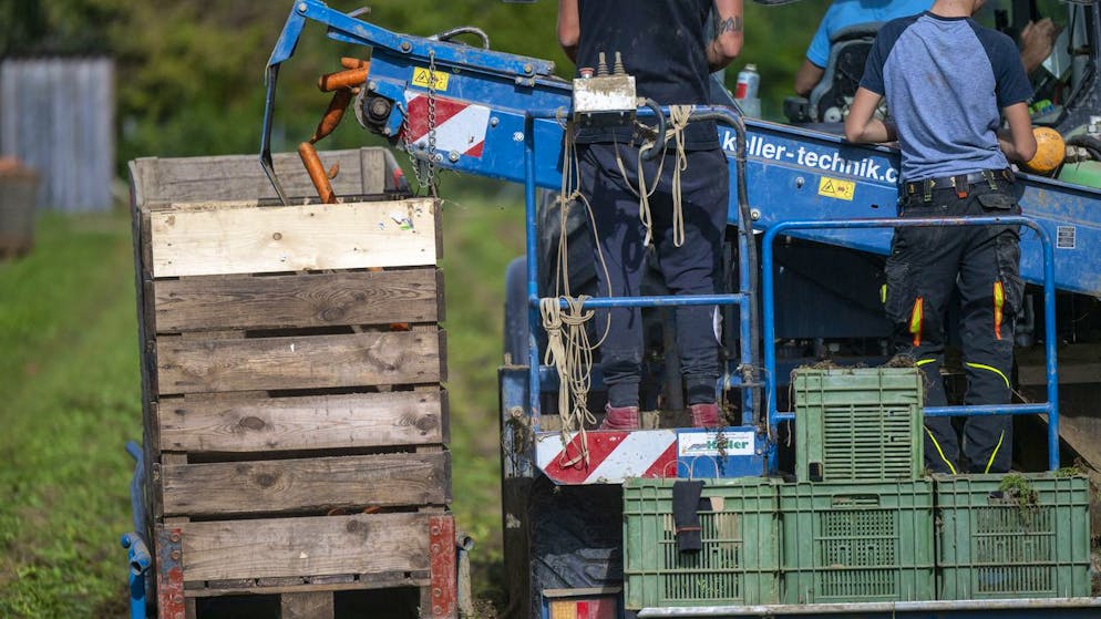 Bericht des Bundesrats. So viel verdienen Bauern in der Schweiz