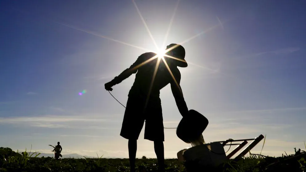 Les systèmes d'alerte sont utiles face à El Niño et ses effets pour les populations.