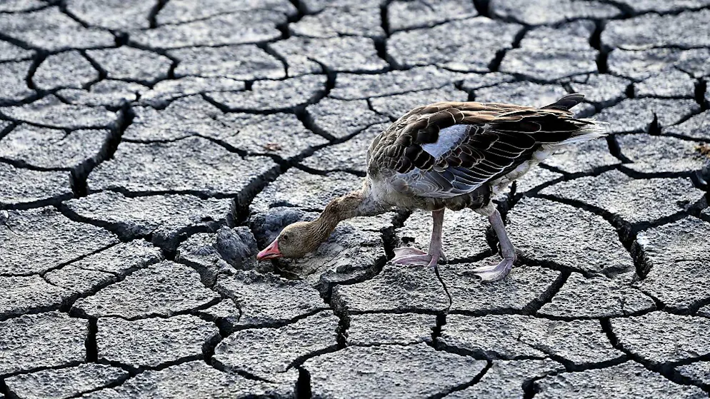 Les zones les plus exposées en Europe au changement climatique sont le sud du continent et les régions côtières à faible altitude (archives).