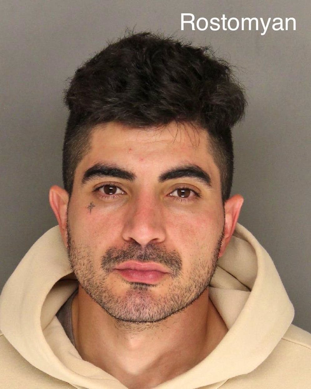 Omicidio su commissione di una donna di 96 anni: i sospetti. Sospettato dell'omicidio di Violet Alberts: Henry Rostomyan.