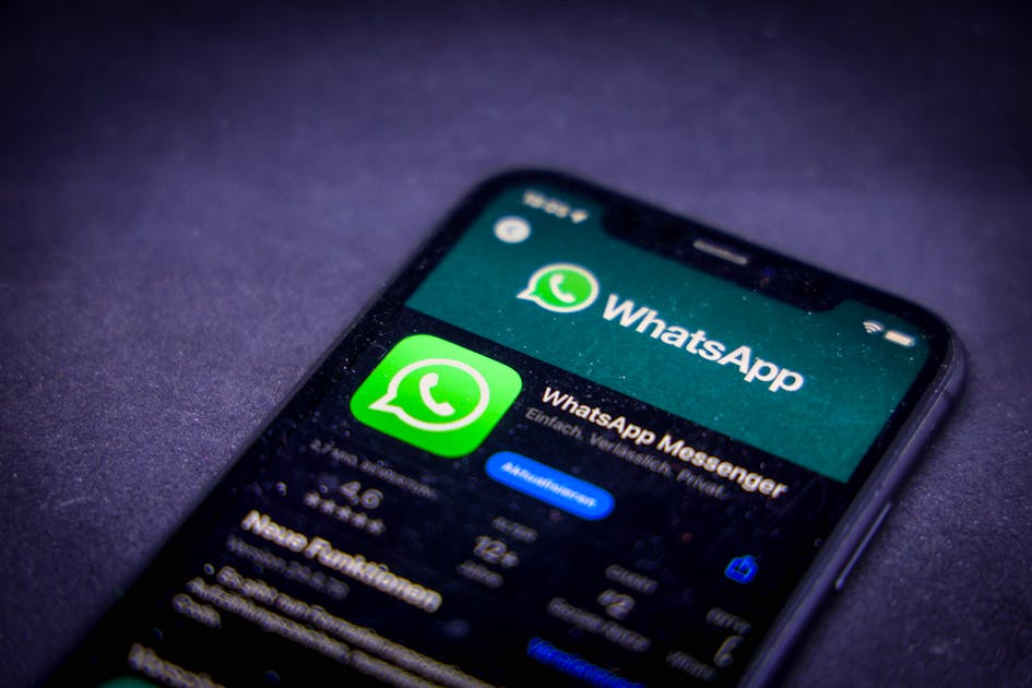 It's not just about chatting with friends: Meta is integrating a chatbot into WhatsApp It's not just about chatting with friends: Meta is integrating a chatbot into WhatsApp