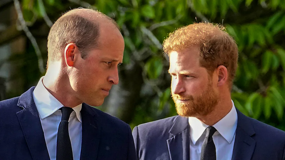 Anhaltende Kluft zwischen den Brüdern. William und Harry treten bei Würdigung Dianas getrennt auf