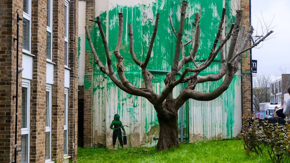 Grüne Farbe hinter kahlem Baum. Neues Banksy-Werk taucht in London auf
