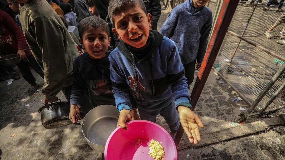 Guerra in Medio Oriente. La carestia nella Striscia di Gaza è grave: «Per alcuni c'è solo erba da mangiare»