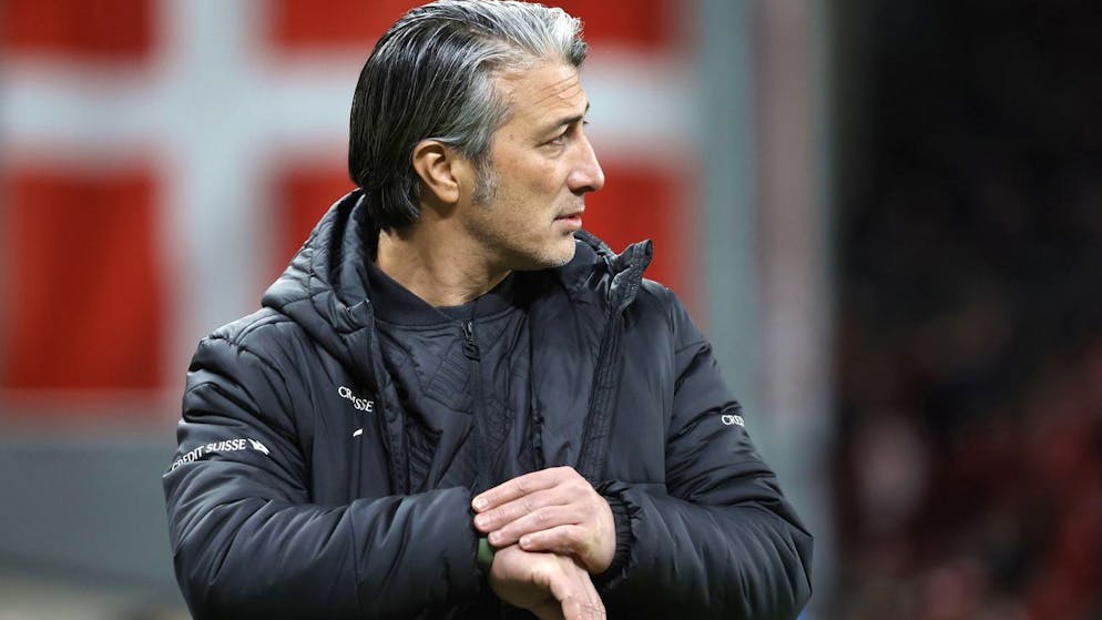 Match amical. À l'heure des comptes, Yakin dresse un bilan légèrement positif