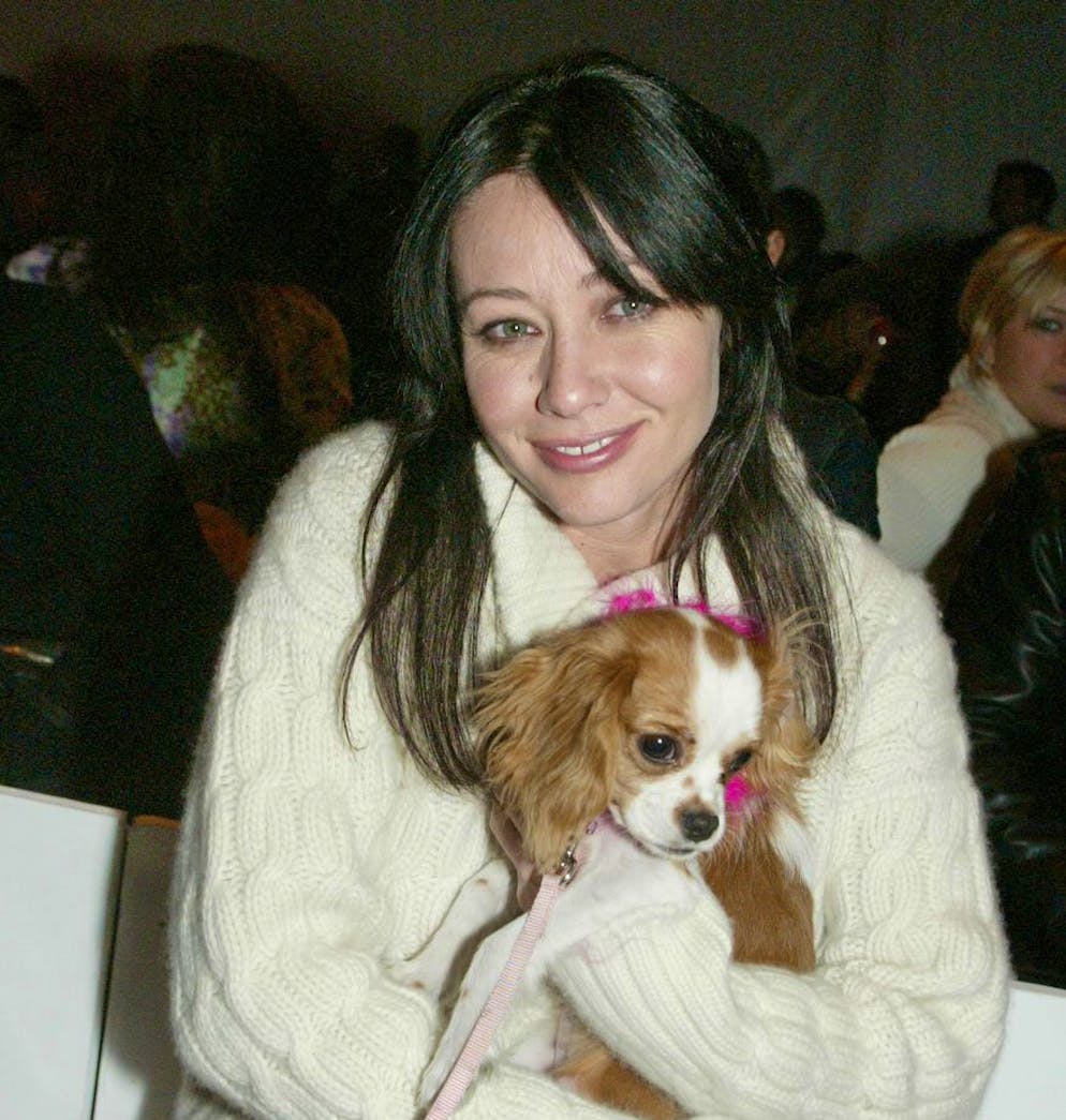 «Wir alle haben das Recht, eine Krankheit oder ein Leben privat zu durchleben»: Shannen Doherty.