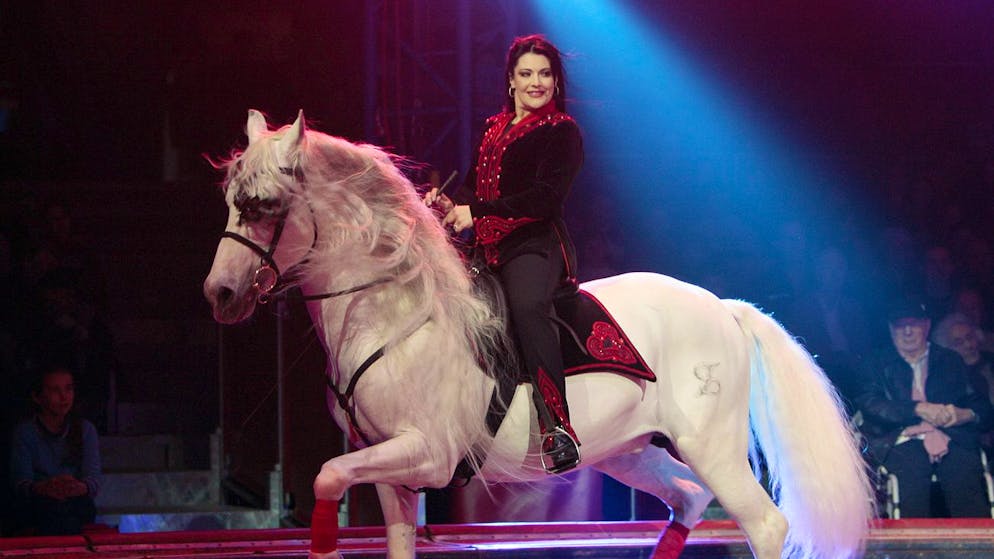 Zirkusdirektorin. Géraldine Knie: «Ich könnte auch unter einer Brücke wohnen»