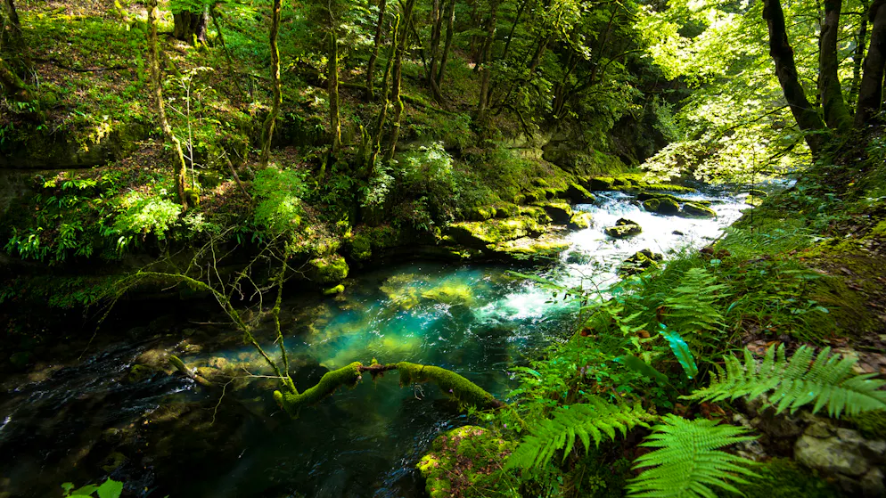 La rivière de la Loue est victime de la pollution (image d’illustration).