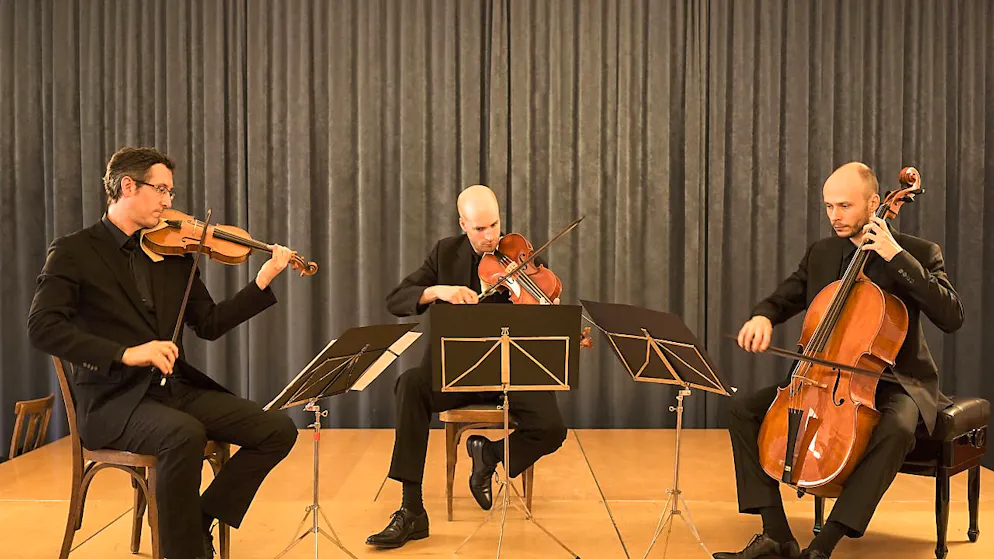 L'Ensemble Fratres, la passion des instruments anciens - Gallery. L'Ensemble Fratres, de Lausanne, ici en formation trio: Nicolas Penel (violon, à gauche) Laurent Galliano (alto, au centre), et Mathieu Rouquié (violoncelle, à droite).