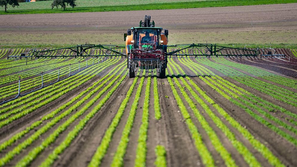 La révision de l'ordonnance sur les produits phytosanitaires veut aligner la procédure d'homologation de tels produits sur celle de l'UE (archives).