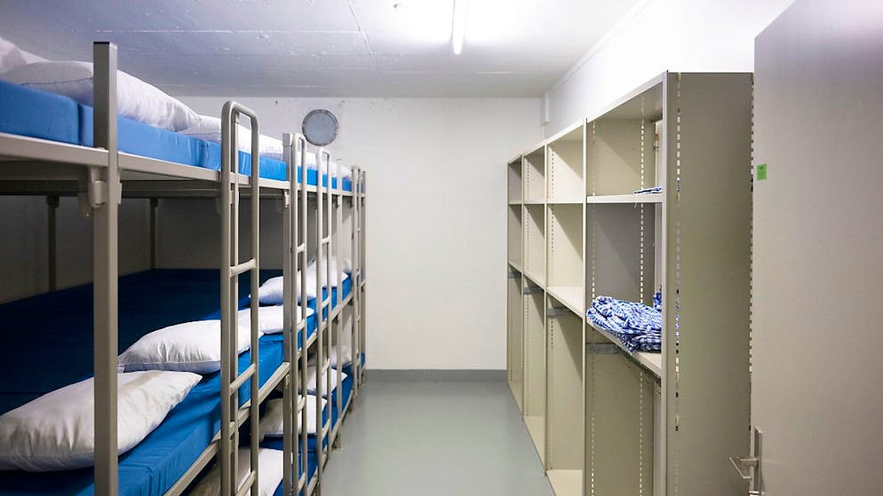 Flüchtlinge aus der Ukraine erhalten vom Bund den Schutzstatus S. Im Gegensatz zu Asyl geht es dabei um "einen vorübergehenden Schutz für die Dauer einer schweren Gefährdung".