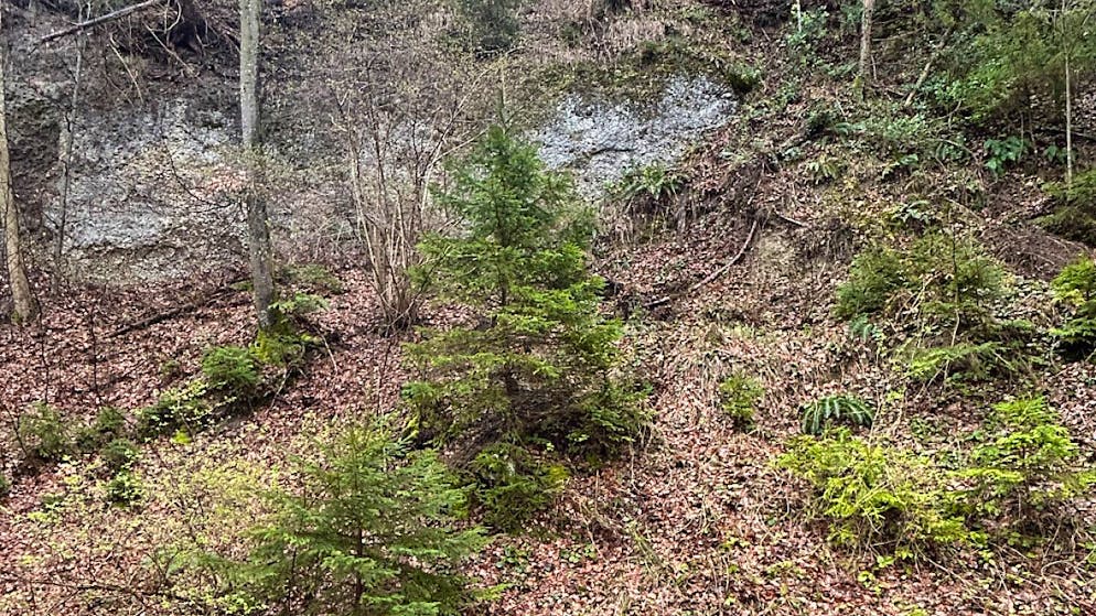Der Wanderer stürzte einen Abhang hinunter und verletzte sich mittelschwer.