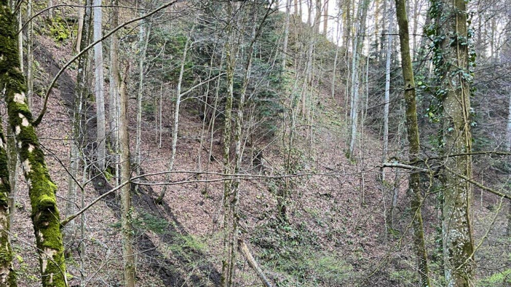 Gülle floss über eine Waldböschung in den Eptinger Obertlochbach.