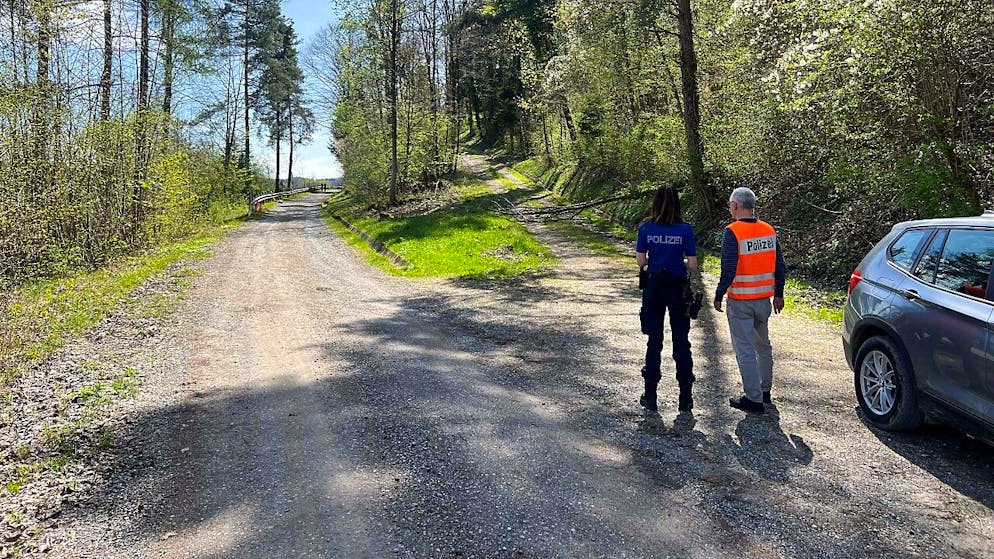 Im Winterthurer Wald ist am Freitagvormittag eine grössere Menge Öl versickert.