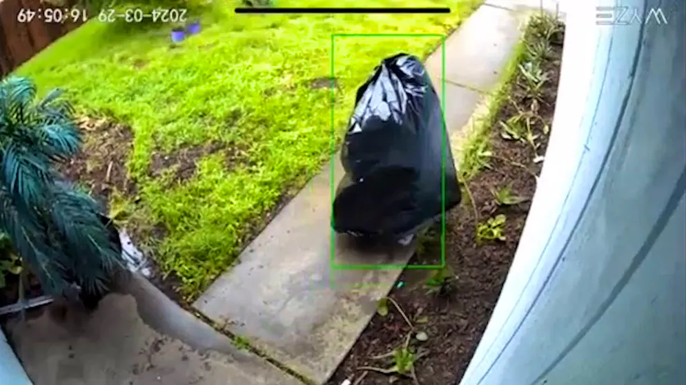 Il video del ladro creativo. «Sacco della spazzatura» ruba un pacco postale all'ingresso di una casa