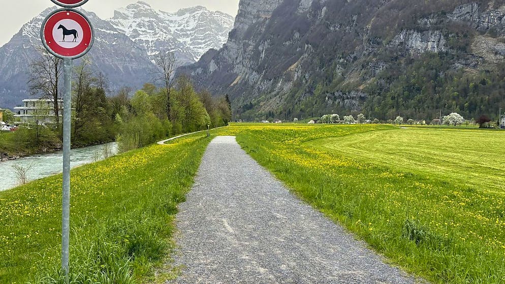 Die umgeschubste Seniorin stürzte bei Näfels GL vom Dammweg in die Grasböschung und brach sich den Oberschenkelhals.