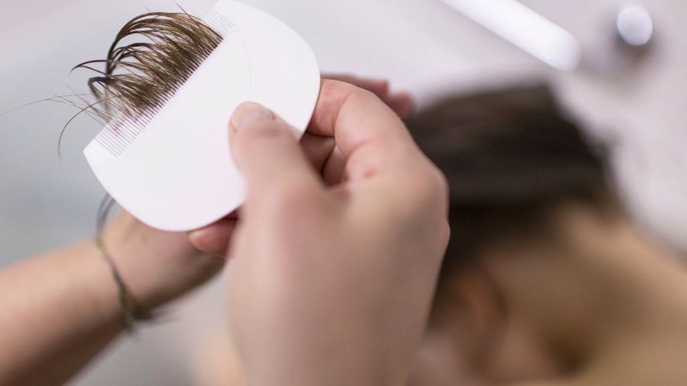 Tipps zur Vorbeugung. Diese seltenen Krankheiten sind in der Schweiz zurück