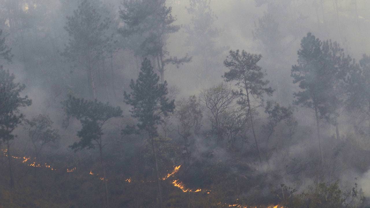Europa. Ist Klimaschutz ein Menschenrecht? Gerichtshof urteilt in drei Fällen