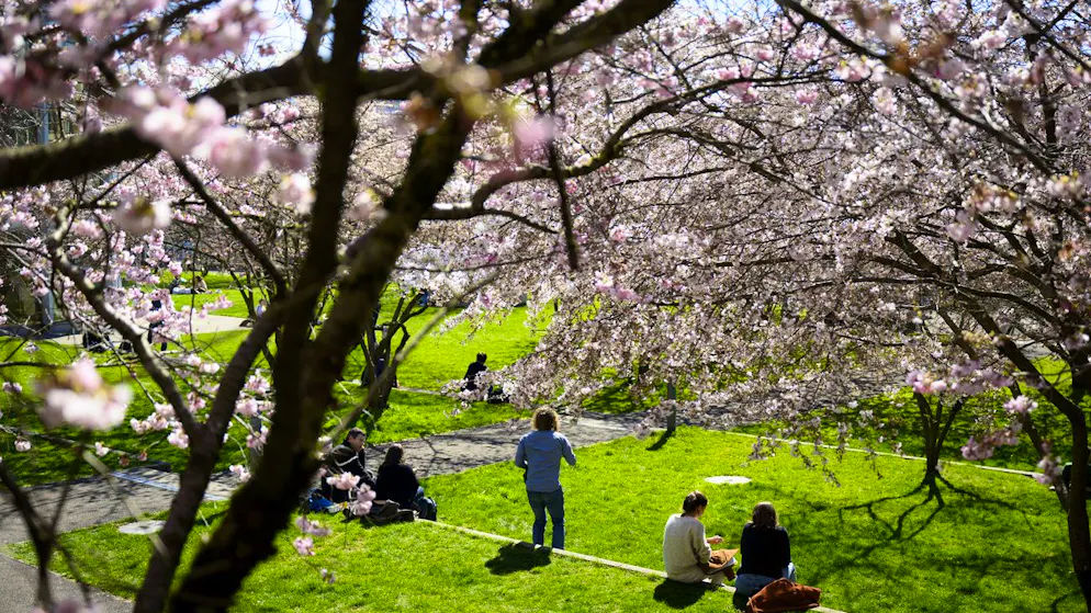 Menschen geniessen einen warmen Märztag im Parc de Mon Repos in Lausanne (14. März 2024).