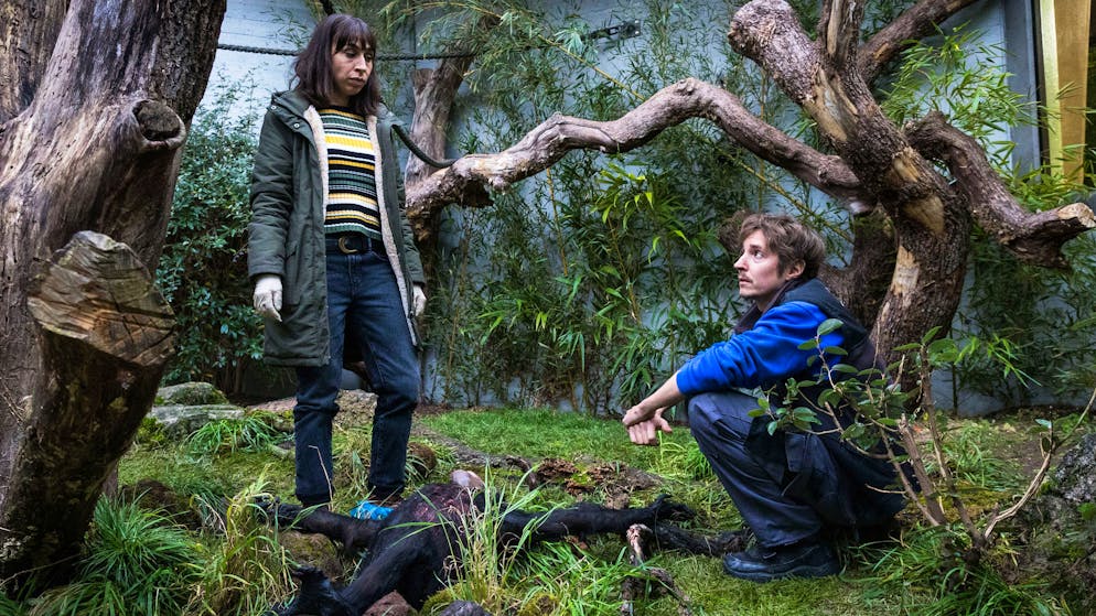 Was ist das Problem mit Blutdiamanten?. Nach dem Tod eines Schimpansen drückt Tessa Ott (Carol Schuler) dessen Pfleger (Dariusz Holzer) ihr Mitgefühl aus.