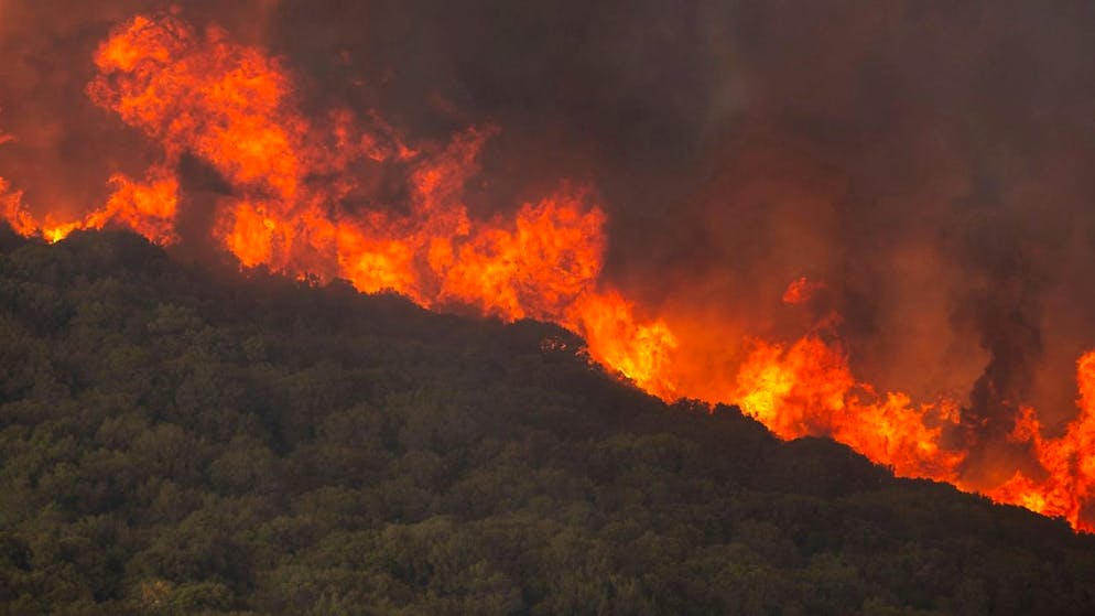 ARCHIV - Flammen verbrennen einen Wald während eines Waldbrandes in der Nähe des Dorfes Sykorrahi. Foto: Achilleas Chiras/AP/dpa