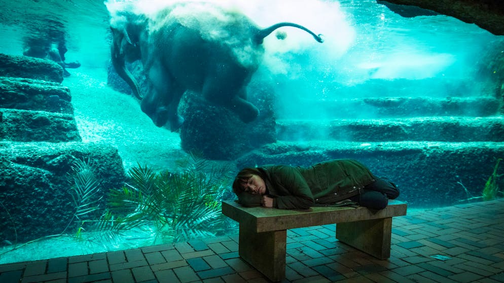 Was ist das Problem mit Blutdiamanten?. Nach einer schlaflosen Nacht findet Kommissarin Tessa Ott (Carol Schuler) im Zoo Zürich immerhin kurzzeitig Ruhe.