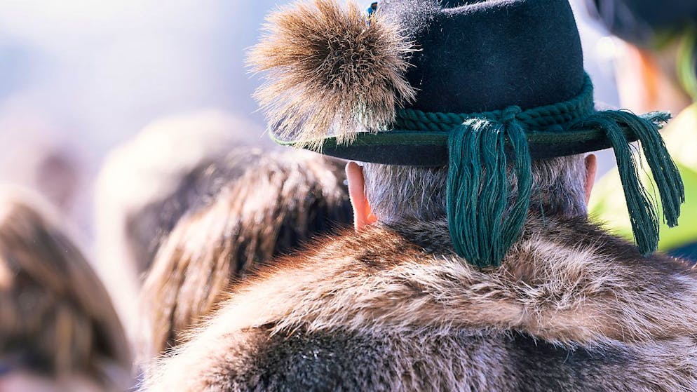 Pelz und Stopfleber: Der Bundesrat will den Import nicht verbieten. (Symbolbild)