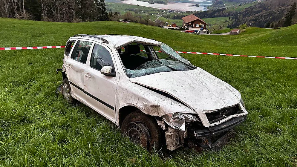 Der Lenker dieses Autos wurde schwer verletzt.