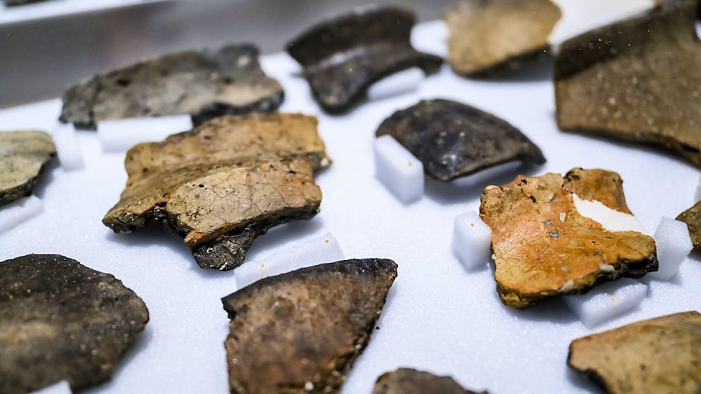 Die prähistorische Frau kümmerte sich um die Gruppe, stellte Werkzeuge her, half bei der Jagd und beteiligte sich an den ersten künstlerischen Aktivitäten. (Symbolbild)